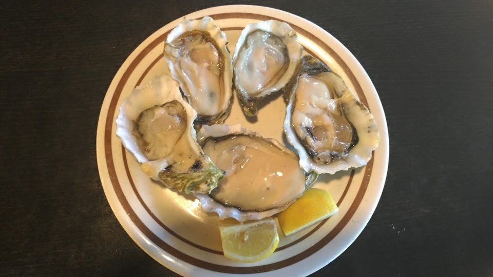 Oysters